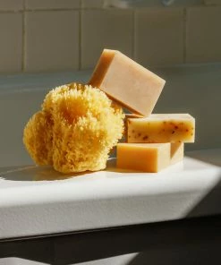 Cadine Mediterranean Sea Sponge