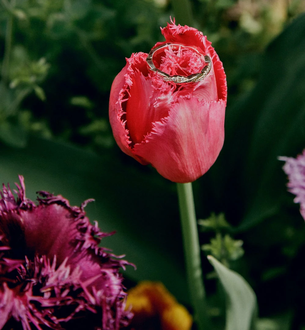 Cadine Jewellery Ivy Ring - 14kt Solid Gold 3 Cadine Jewellery Ivy Ring - 14kt Solid Gold