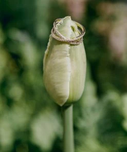 Cadine Jewellery Clematis Ring - 14kt Solid Gold