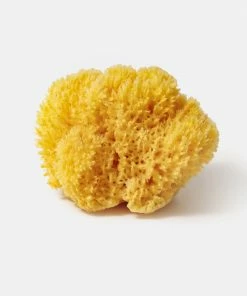 Cadine Mediterranean Sea Sponge