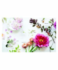 Cadine Library The Flower Workshop: Lessons In Arranging Blooms, Branches, Fruits, And Foraged Materials Book 7 Cadine Library The Flower Workshop: Lessons In Arranging Blooms, Branches, Fruits, And Foraged Materials Book