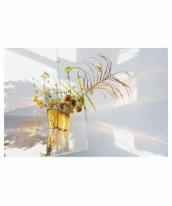 Cadine In Full Flower Book Library