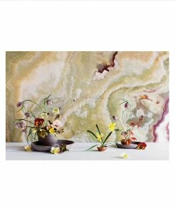 Cadine In Full Flower Book Library