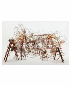 Cadine In Full Flower Book Library