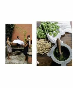 Cadine Library Old World Italian Book