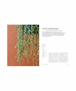 Cadine Library Plantopedia: The Definitive Guide To Houseplants Book