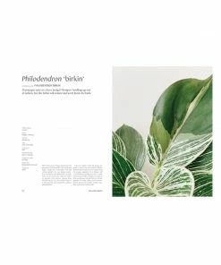 Cadine Library Plantopedia: The Definitive Guide To Houseplants Book
