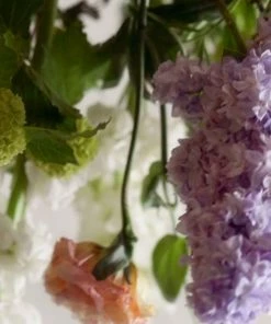 Cadine Fresh Floral Arrangement In Vase - Signature