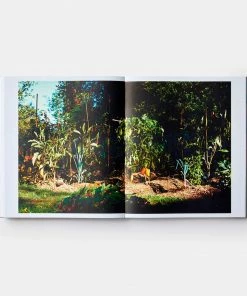 Cadine Library Septime, La Cave, Clamato, D'une île Book 11 Cadine Library Septime, La Cave, Clamato, D'une île Book