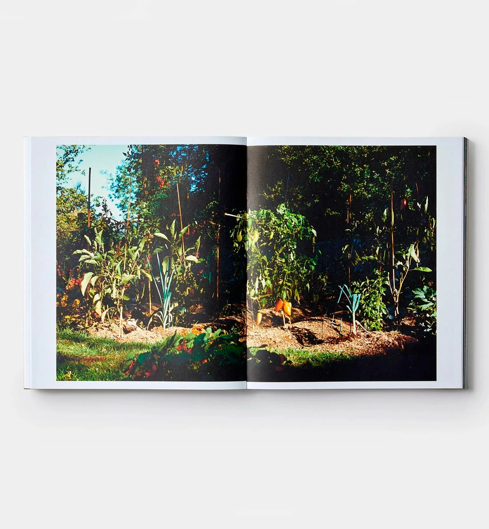 Cadine Library Septime, La Cave, Clamato, D'une île Book 4 Cadine Library Septime, La Cave, Clamato, D'une île Book