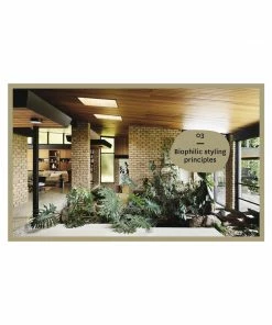 Cadine Nature Style: Cultivating Wellbeing At Home With Plants Book Library