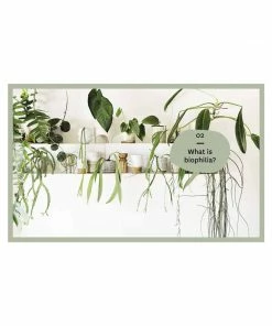 Cadine Nature Style: Cultivating Wellbeing At Home With Plants Book Library