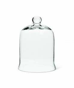 Cadine Chamber Glass Cloche