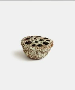 Cadine Ceramic Lotus