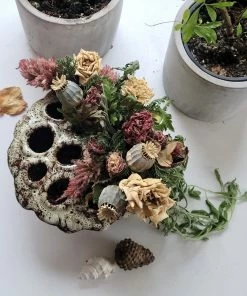 Cadine Ceramic Lotus