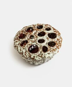 Cadine Ceramic Lotus